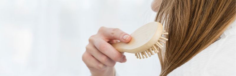 Catégorie brosse_1718686110.jpg