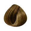 Extensions Bande 12cm 3 Clips 50/55cm