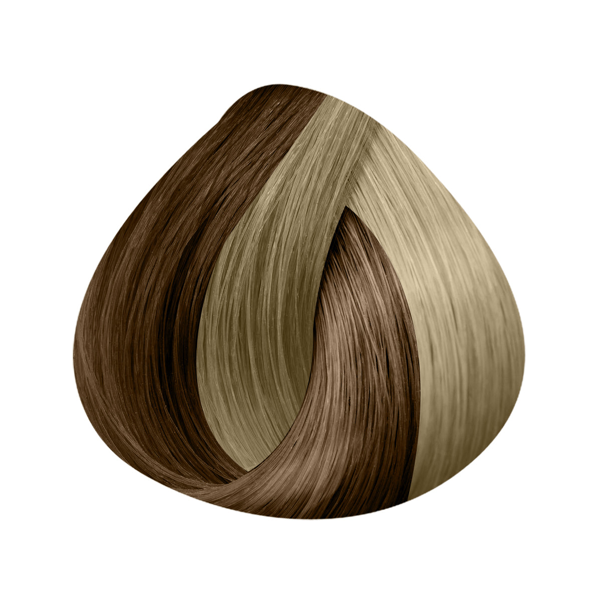 Extensions Bande 12cm 3 clips Méchées ou Ombrées 50/55cm