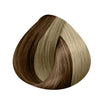 Extensions Kératine 25 Mèches 40/45cm