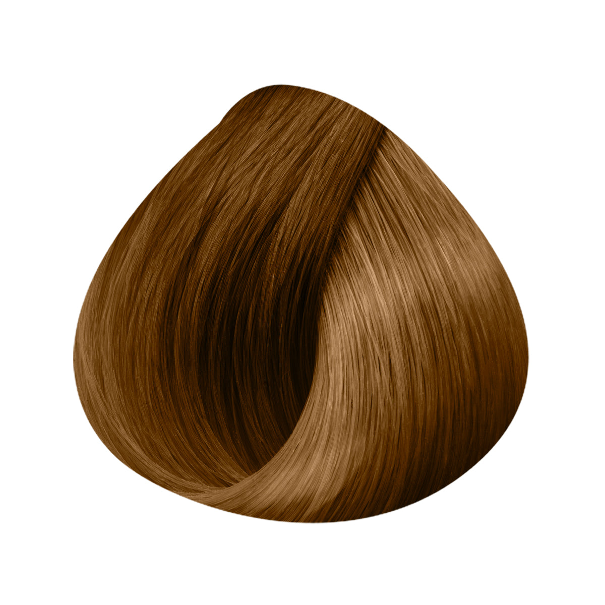 Extensions Bande 12cm 3 Clips 50/55cm