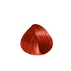Coloration permanente sans ammoniaque aux 3 huiles Subtil Infinite