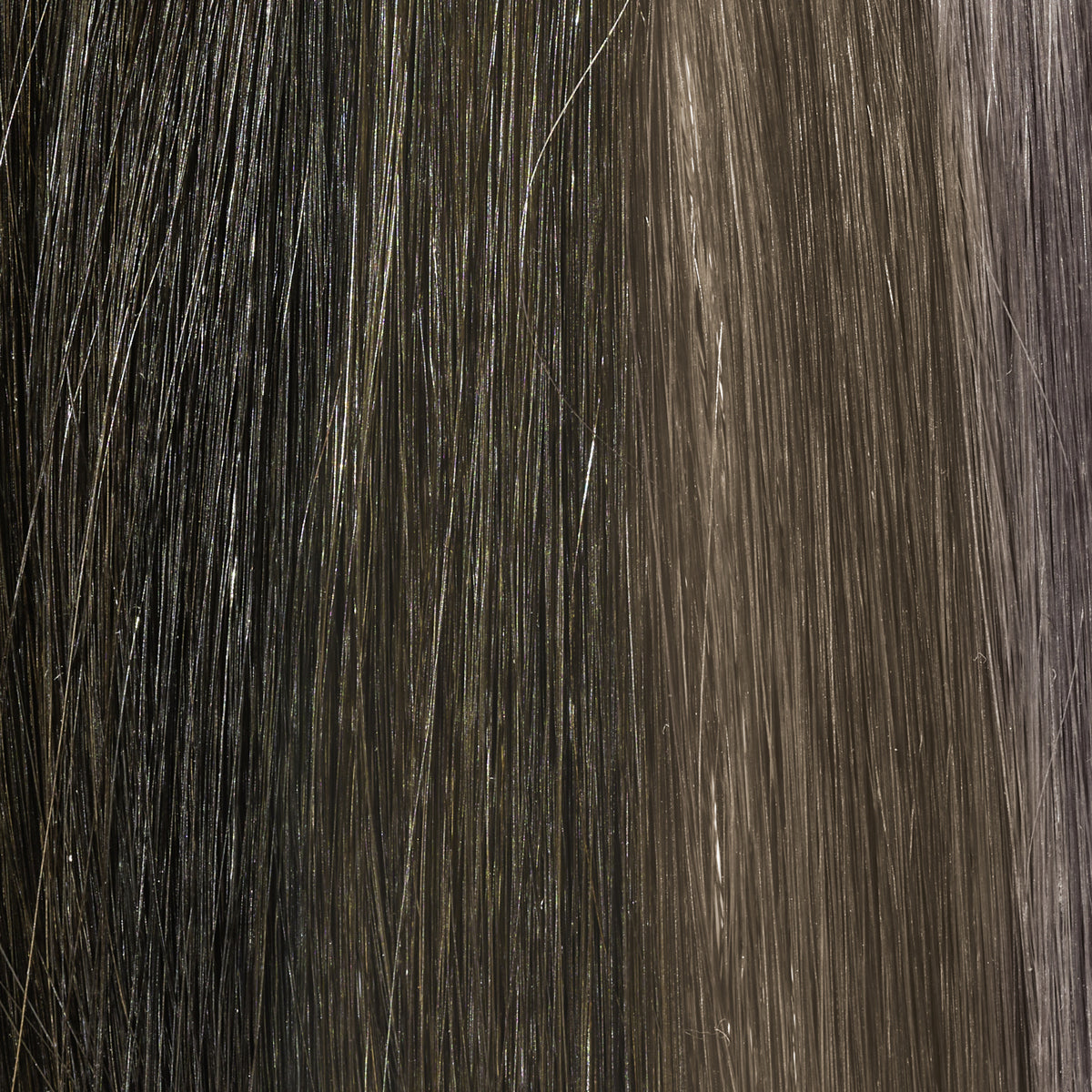 Coloration Permanente Cendrée Cool Igora Royal Cool