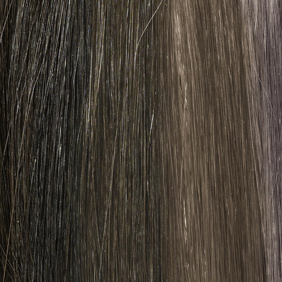 Coloration Permanente Cendrée Cool Igora Royal Cool