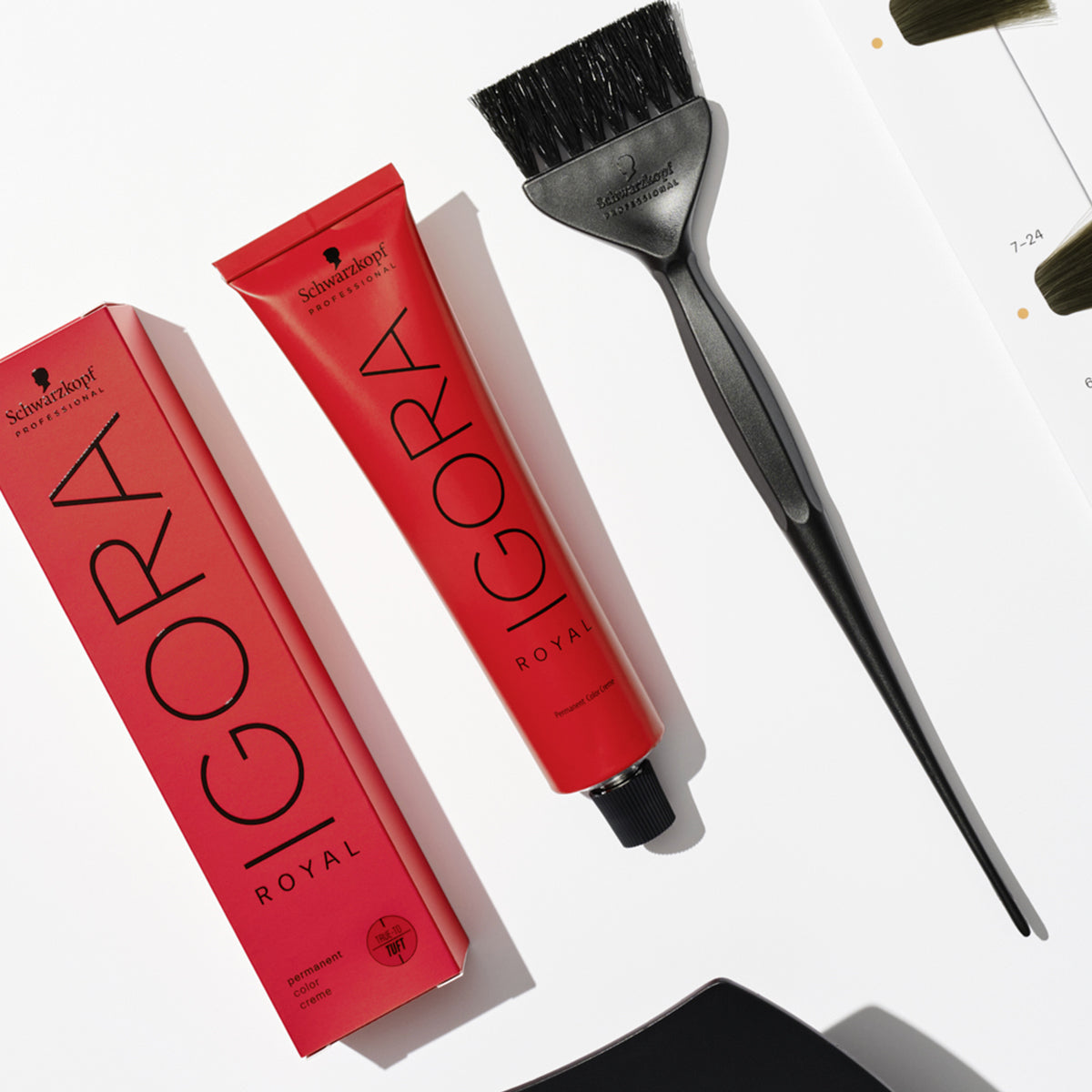 Coloration Permanente Cendrée Cool Igora Royal Cool