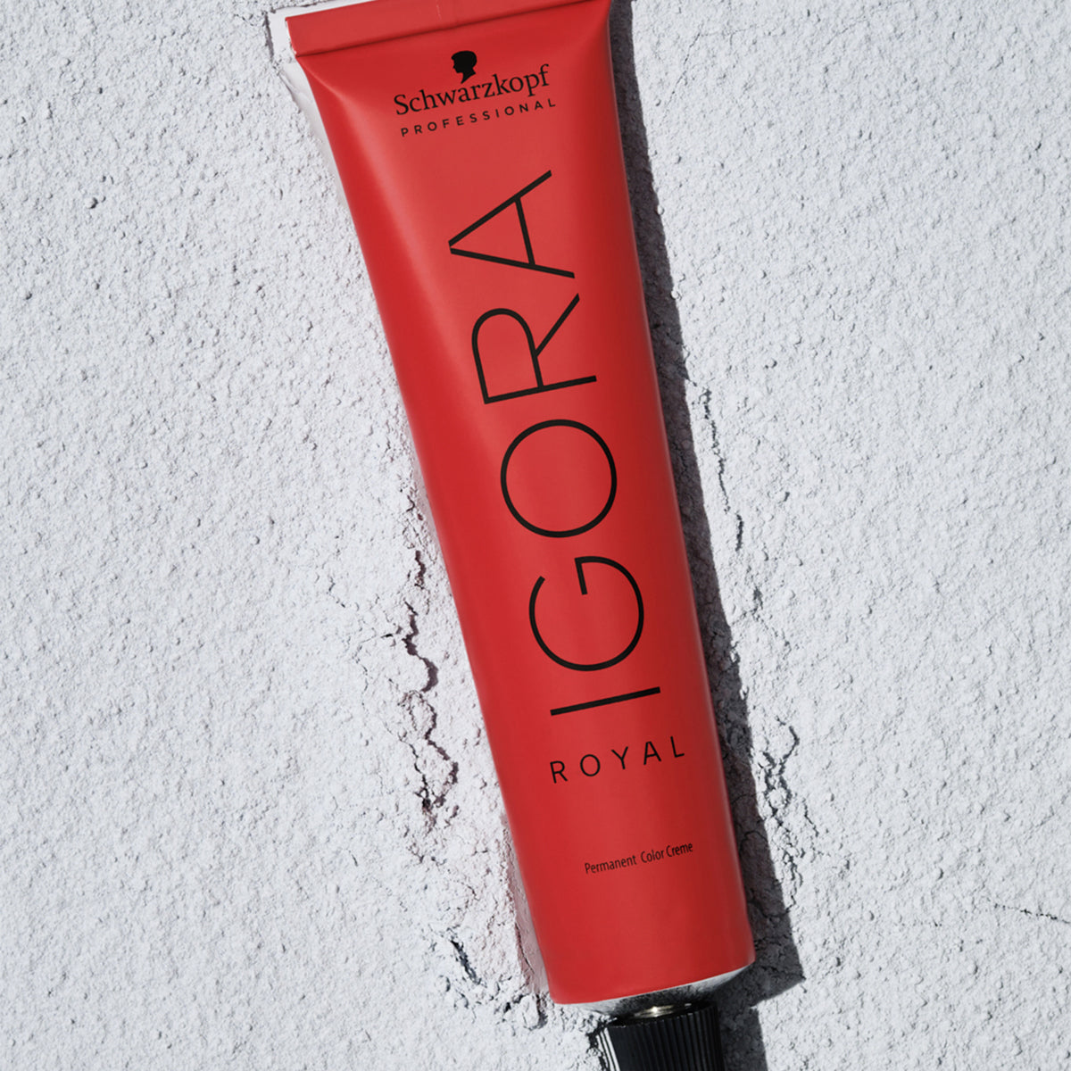 Coloration Permanente Cendrée Cool Igora Royal Cool