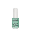 Vernis Amer Lab