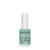 Vernis Amer Lab