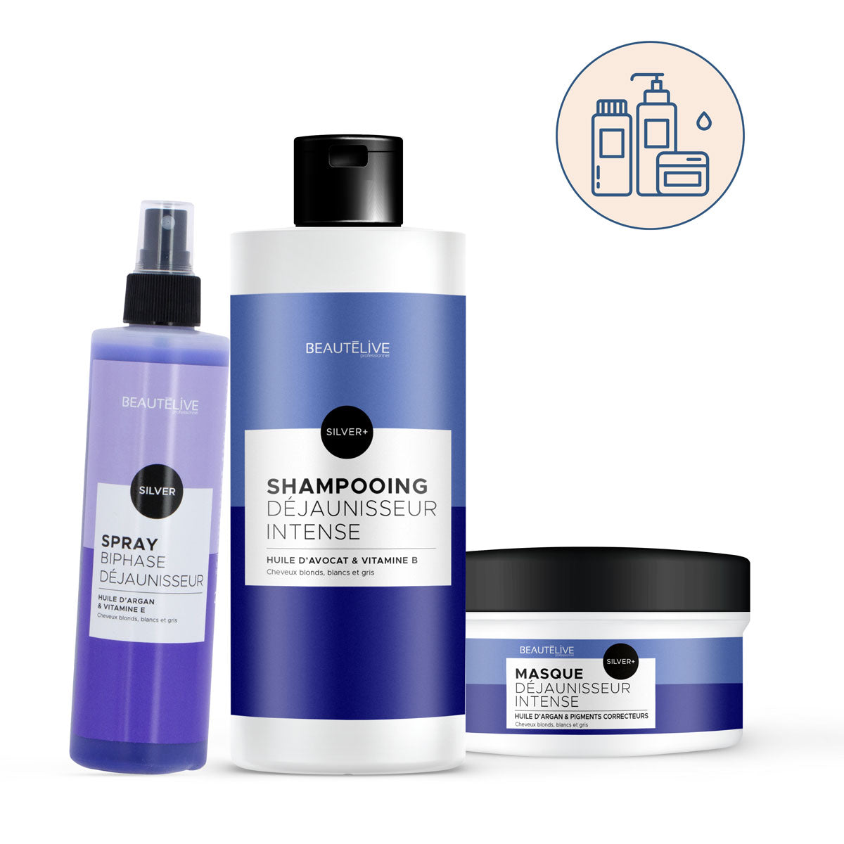 Routine Déjaunisseur Intense Silver +