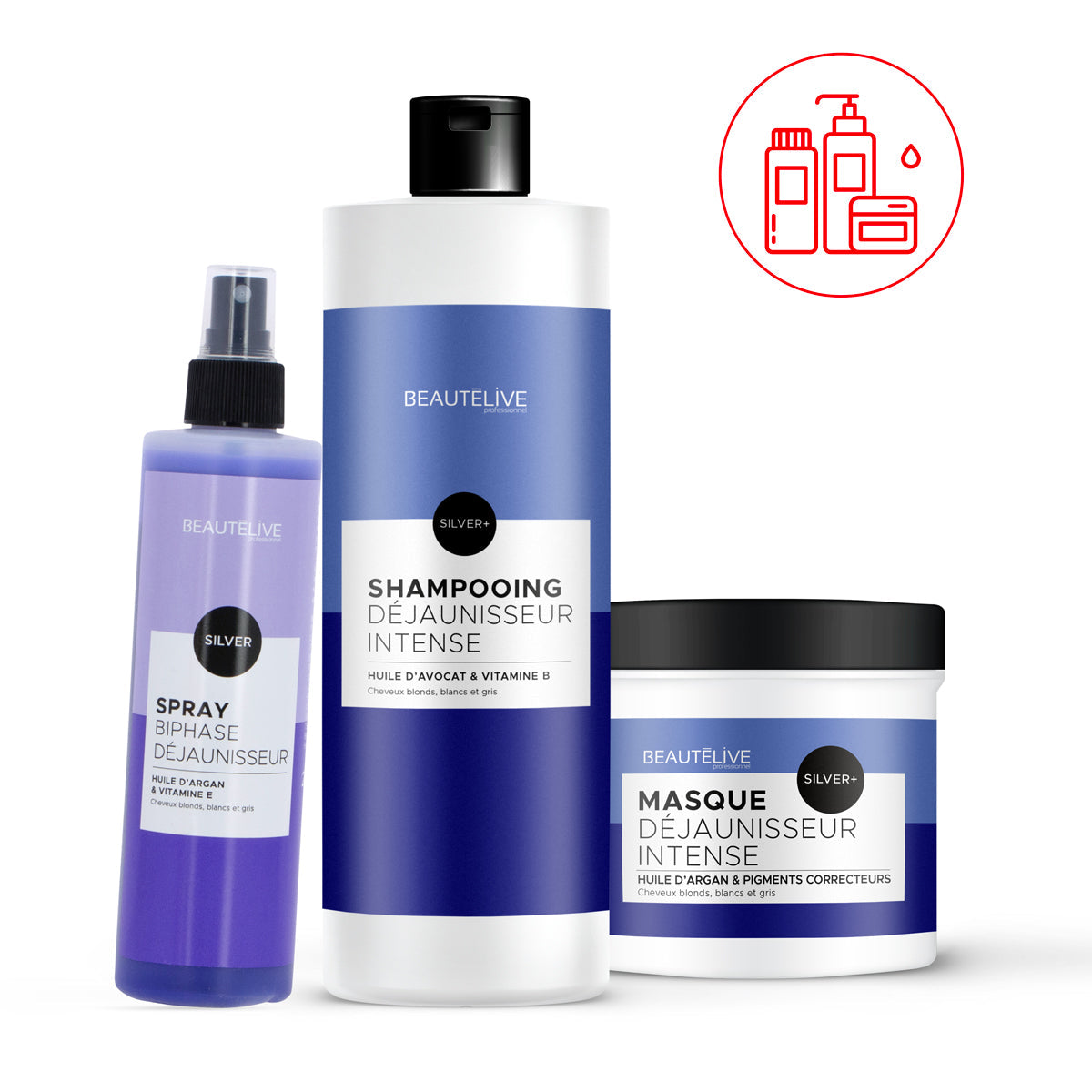 Routine Déjaunisseur Intense Silver +