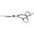 Ciseaux superalliage Corum, Taille 5.5