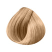 Coloration glossy Shinefinity