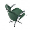 Fauteuil LIONESS REC inclinable