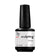 Primer Sculpting+