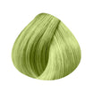 10 extensions naturelles lisses fantaisie 55CM, fixation kératine